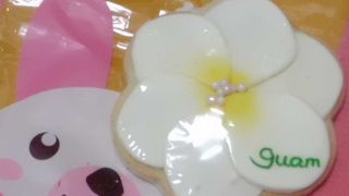 アイシングクッキー　ベーカーズワールド