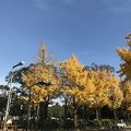 きれいな公園