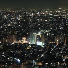 展望ロビーからの眺め