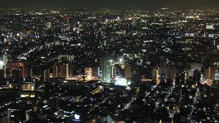 意外にガラガラ