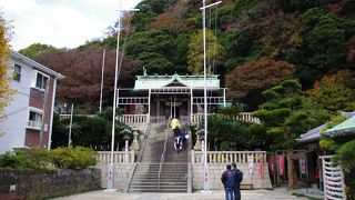 ちょっとした登山