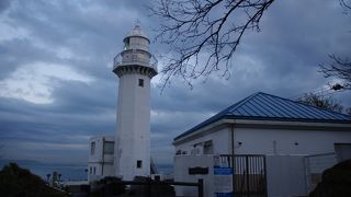 東大じゃありません