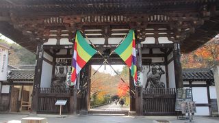 ３３年に一度の秘仏のご開扉で賑わう紅葉の名所