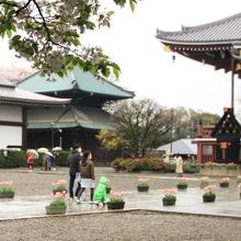 20150405緑色の屋根が本門寺経蔵