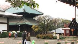 公開してないみたい