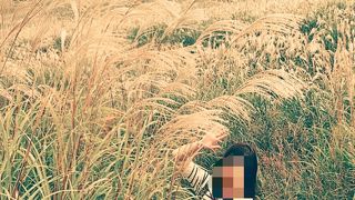 すすきの草原に圧倒されます