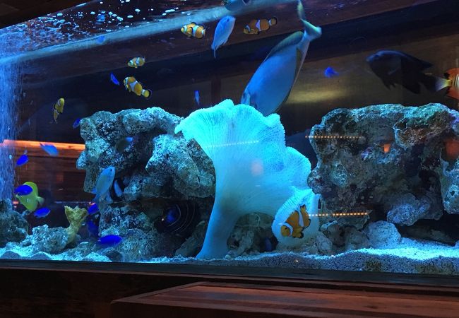 アクアリウムダイニング 新宿ライム クチコミ アクセス 営業時間 新宿 フォートラベル