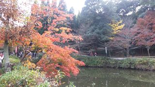 嵯峨野の風情のある光景