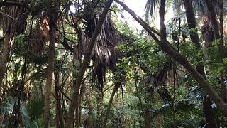 朝早くがオススメ