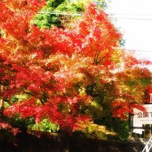 ケーブルカー公園下駅
