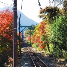 公園下駅から箱根美術館方向