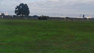 過ごしやすい気候