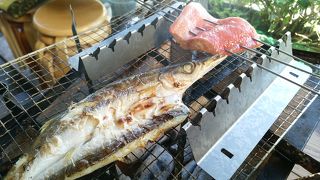  私の人生史上最高のひもの！