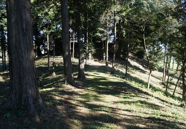 古墳の上に神社が建てられていて