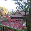 北野天満宮のお土居の紅葉