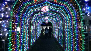 こじんまりしているけど、綺麗☆