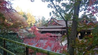 北野天満宮のお土居の紅葉