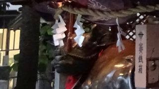 私も撫でてきました。