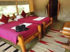 Siana Springs Tented Camp 写真