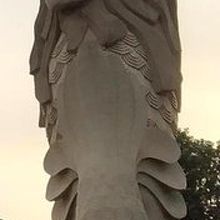 かなり大きいです