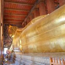 黄金に輝いています