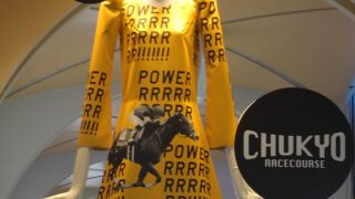 ナナちゃんはなんと４３歳です!