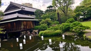 日本庭園が素晴らしい