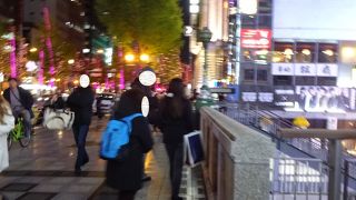 車も走る通り。