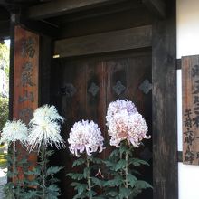 暁天座禅会の看板も出ています