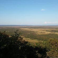 サテライト展望台からの景色