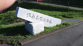 湿原展望遊歩道～階段の登り降りが多く、ウォーキングしたい方にはおすすめ～