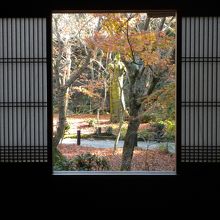 障子を額縁として「十牛之庭」を望めます。