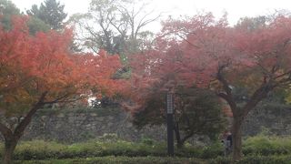 紅葉も終わりですので出かけてみました。