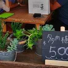 多肉植物も売ってました