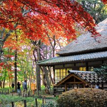 秋水書院 蘆花恒春園 世田谷区
