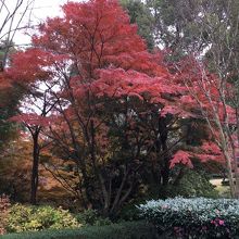 真っ赤ですね。