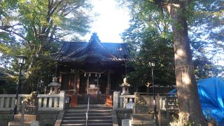 市役所が隣接する神社
