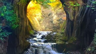 とにかく混んでいます。