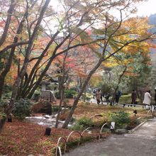 曲水もあり 、太めの曲水がつづく