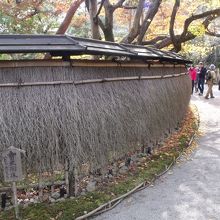 宝厳院垣、 目をくれる観光客はいない。