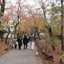 出口付近がもっとも落ち着いた光景