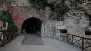 海鮮が美味しい！