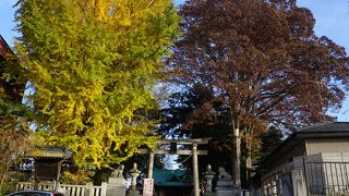 青木繁の石碑もあります