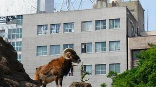 行く価値あり^^