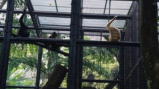 無料なのが嬉しい