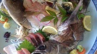とにかく魚がおいしいです！