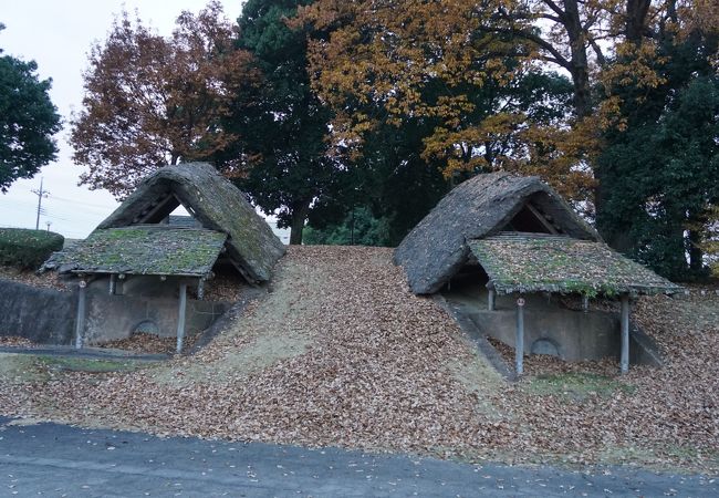 これは一大産業のようなもの