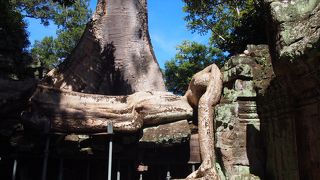 自然に埋もれていた遺跡