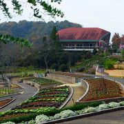 入園料も無料、秋の一日は家族連れで