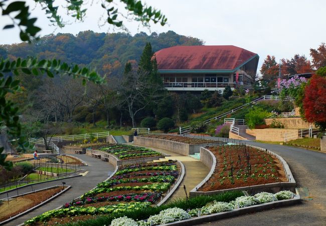 入園料も無料、秋の一日は家族連れで